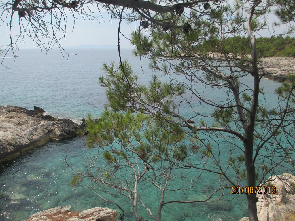 Apartment Falcon Stari Grad  Esterno foto